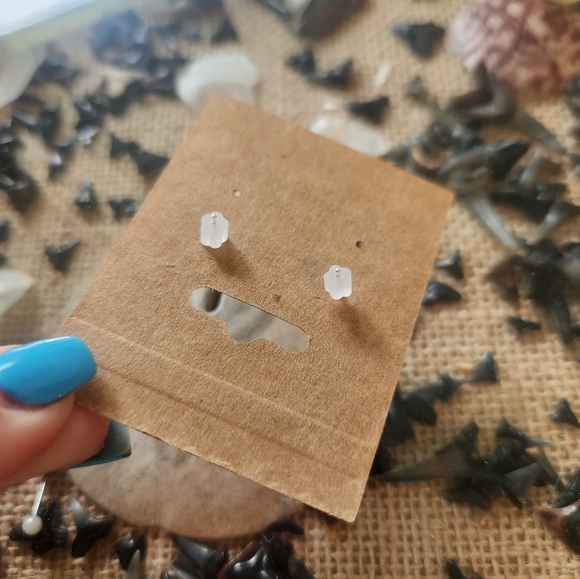 Black Shark Tooth Stud Earrings - Picture 2 of 3